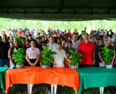 260 famílias de Rio Preto da Eva são beneficiadas com mudas e capacitação técnica para o manejo do café